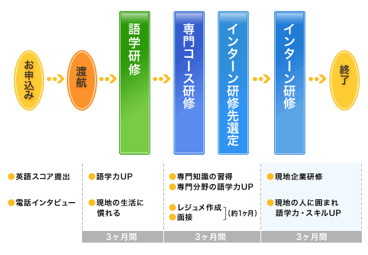 �C���^�[���̗���